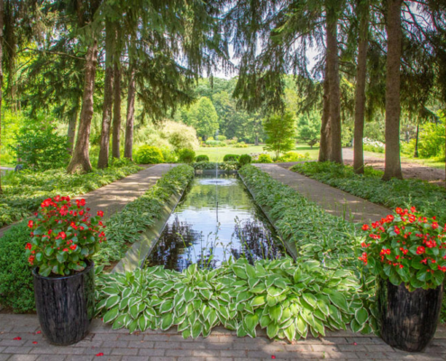 Friendship Gardens