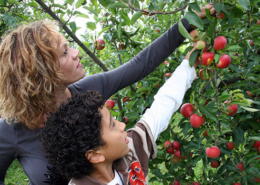 Family picking fruit at Garwood Orchards