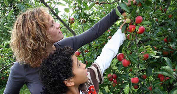 Family picking fruit at Garwood Orchards