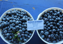 Stateline Blueberries